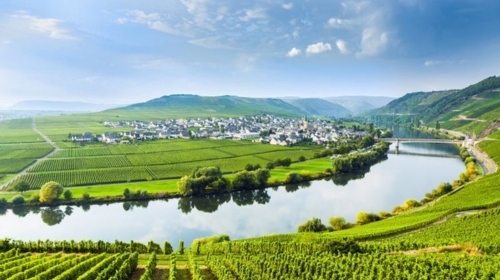 Moselle River Cruises